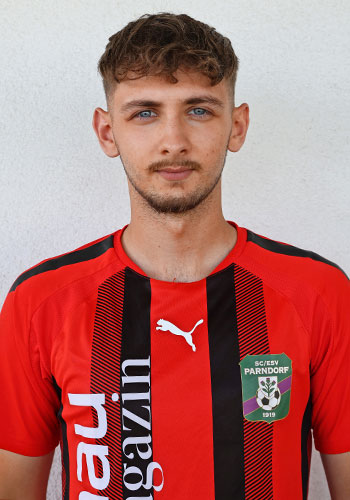  15. Andrija Mitrovic